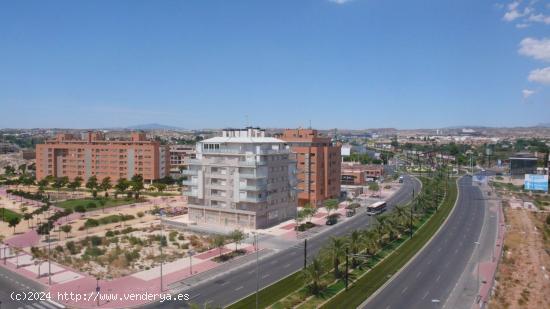 Se Alquila en Murcia - MURCIA