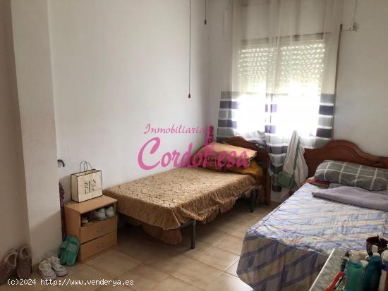 MAGNIFICA CASA CON 2 NAVES Y PISCINA EN ALCOLEA!!! POSIBILIDAD ALQUILER CON OPCION A COMPRA. - CORDO