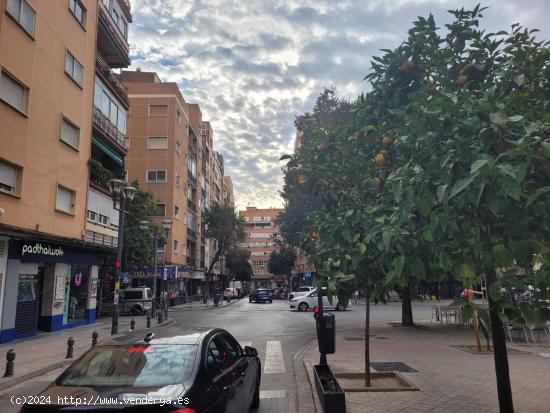 Se Alquila en Granada - GRANADA