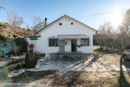  GRAN TERRENO RURAL EN COGOLLOS DE LA VEGA - GRANADA 