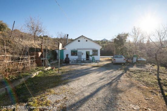 GRAN TERRENO RURAL EN COGOLLOS DE LA VEGA - GRANADA