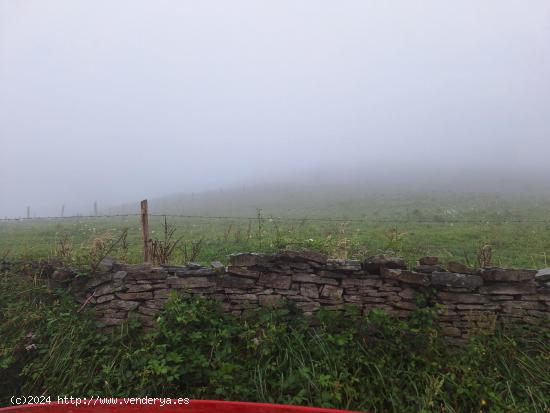 Terreno rústico en venta en Regolfo, Solorzano. - CANTABRIA