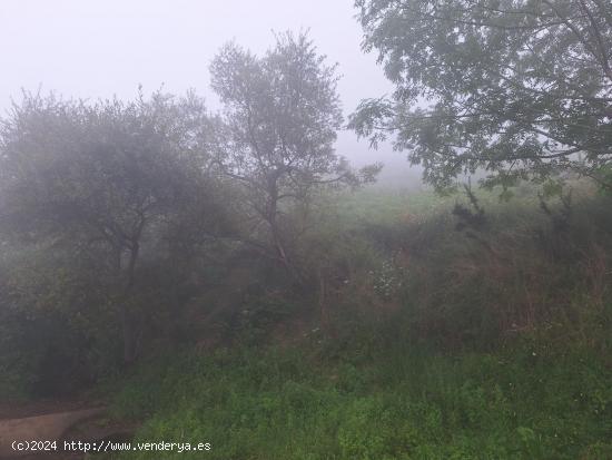 Terreno rústico en venta en Regolfo, Solorzano. - CANTABRIA