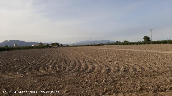  Parcela para construir en zona de El Esparragal - MURCIA 