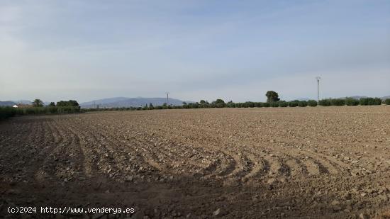 Parcela para construir en zona de El Esparragal - MURCIA