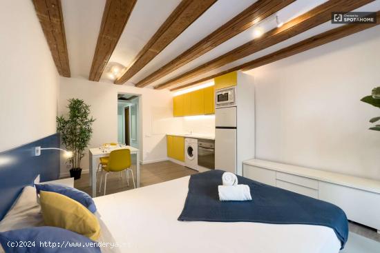 Apartamento de 1 dormitorio en alquiler en Ciutat Vella, Barcelona. - BARCELONA