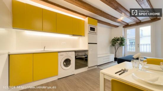 Apartamento de 1 dormitorio en alquiler en Ciutat Vella, Barcelona. - BARCELONA