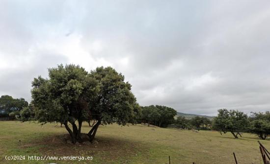 Se Vende en Ortigosa del Monte - SEGOVIA