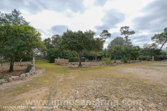 FINCA RUSTICA-POSESIÓN - BALEARES