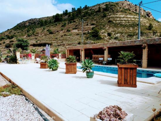  Venta Relleu chalet independiente con parcela 17000 metros - ALICANTE 