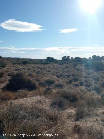 Parcela rural - ALICANTE