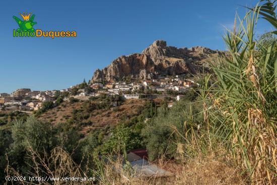 PARCELA URBANA EN COGOLLOS VEGA - GRANADA