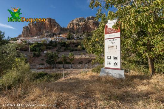 PARCELA URBANA EN COGOLLOS VEGA - GRANADA