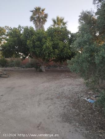 Se Vende en Sanlucar de Barrameda - CADIZ