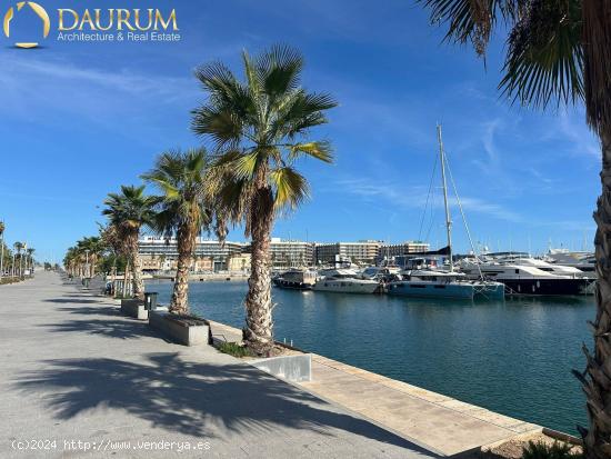  FABULOSA VIVIENDA DE UN DORMITORIO, EN CENTRO DE ALICANTE - ALICANTE 