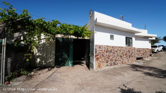 Se Vende en Santa Maria de Guia - LAS PALMAS