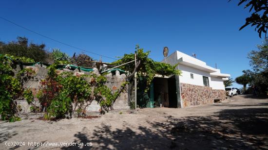 Se Vende en Santa Maria de Guia - LAS PALMAS