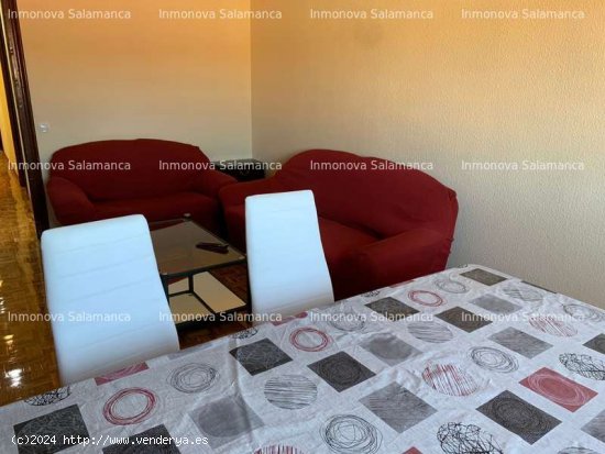 SALAMANCA ( Avda . Portugal - Campus ) : 4d y 2wc . 1130 € . - Salamanca