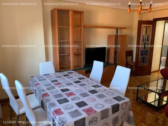 SALAMANCA ( Avda . Portugal - Campus ) : 4d y 2wc . 1130 € . - Salamanca