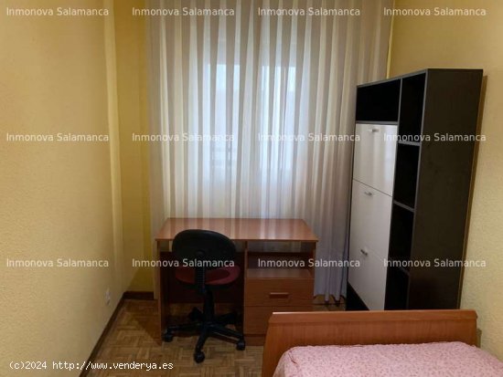 SALAMANCA ( Avda . Portugal - Campus ) : 4d y 2wc . 1130 € . - Salamanca