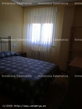 SALAMANCA ( Avda . Portugal - Campus ) : 4d y 2wc . 1130 € . - Salamanca