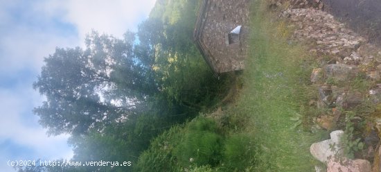 Casa de pueblo en Venta en Caunedo (Somiedo) Asturias