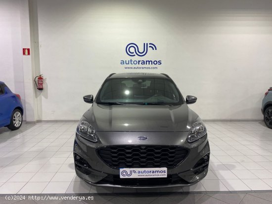 Ford Kuga 1.5 ECOBOOST 110KW ST-LINE X 150 5P - Terrassa