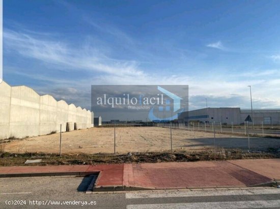 SE ALQUILA TERRENO EN ROMICA/ 3382 metros/ 300 €