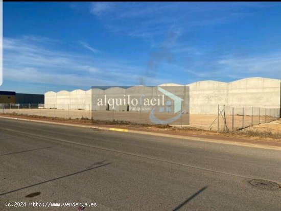 SE ALQUILA TERRENO EN ROMICA/ 3382 metros/ 300 €