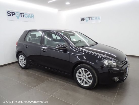 Volkswagen Golf 1.6 TDI 105cv BlueMotion - Manises