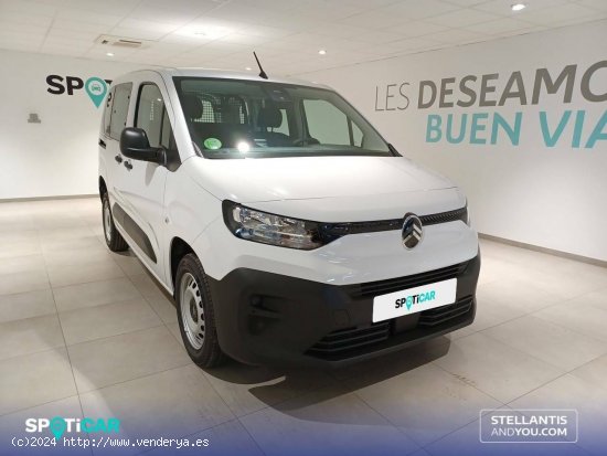 Citroën Berlingo  Talla M BlueHDi 100 S&S You - Almería