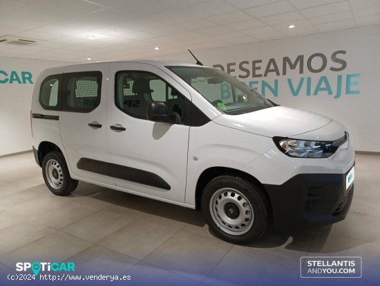 Citroën Berlingo  Talla M BlueHDi 100 S&S You - Almería