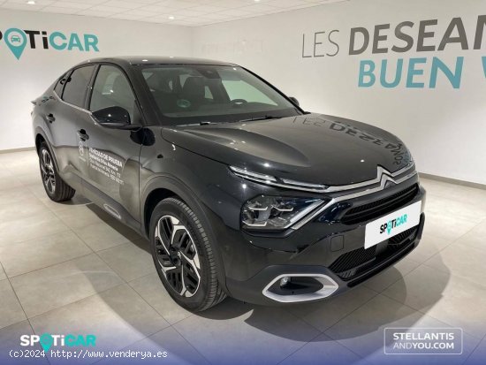 Citroën C4 X  PureTech 130 S&S EAT8 Max - Almería