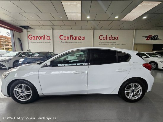 Ford Focus 1.5 ECOBLUE 120 CV TREND+ - CUENCA