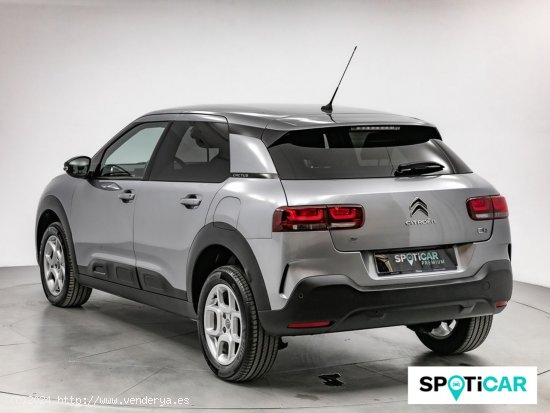 Citroën C4 Cactus BlueHDi 100 S&S Shine - Sabadell