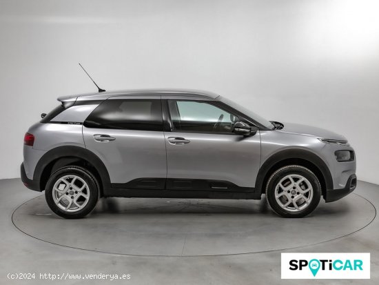 Citroën C4 Cactus BlueHDi 100 S&S Shine - Sabadell