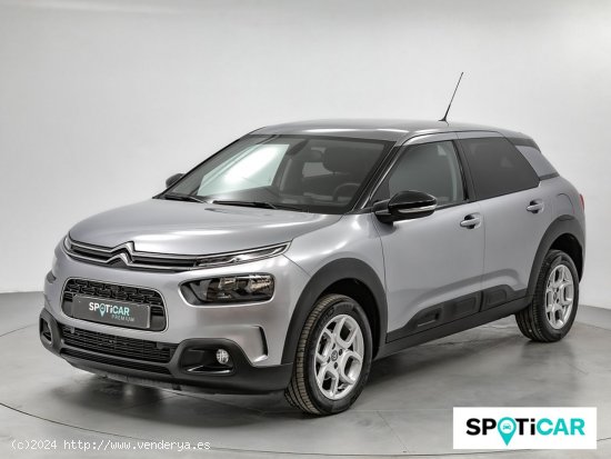 Citroën C4 Cactus BlueHDi 100 S&S Shine - Sabadell