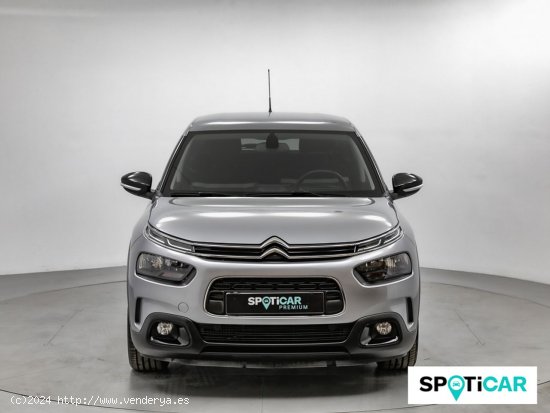 Citroën C4 Cactus BlueHDi 100 S&S Shine - Sabadell