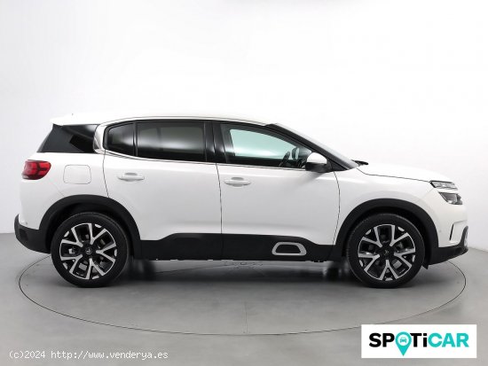 Citroën C5 Aircross PureTech 96kW (130CV) S&S Feel - Sabadell