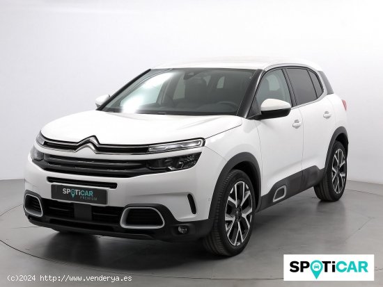 Citroën C5 Aircross PureTech 96kW (130CV) S&S Feel - Sabadell