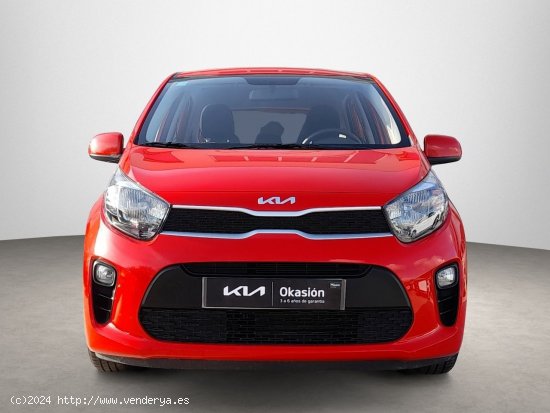 Kia Picanto 1.0 DPi 49kW (67CV) Concept - Sabadell