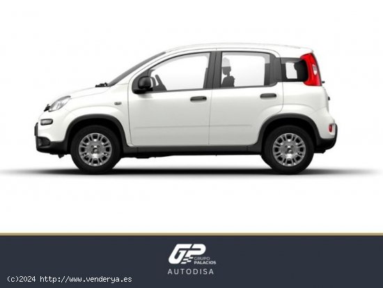 Fiat Panda Panda 1.0 Hybrid 51kW (70cv) - Rascanya