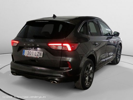 Ford Kuga ST-Line - Galdakao