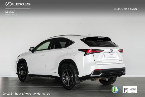 Lexus NX 300H 4WD EXECUTIVE NAVIGATION - A Coruña