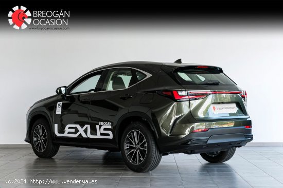 Lexus NX 350H 4WD PREMIUM+ - A Coruña