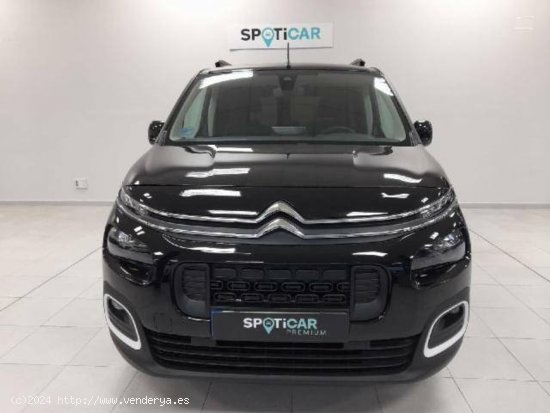 Citroën Berlingo  Talla M BlueHDi 130 S&S 6v Feel - Barberà del Vallès