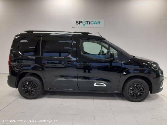 Citroën Berlingo  Talla M BlueHDi 130 S&S 6v Feel - Barberà del Vallès