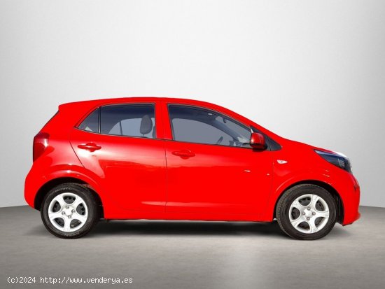 Kia Picanto 1.0 DPi 49kW (67CV) Concept - Granollers