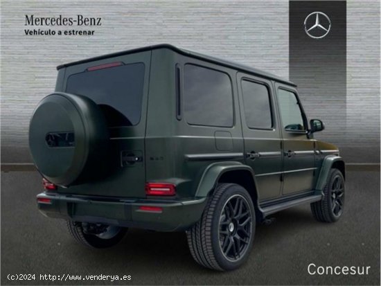 Mercedes Clase G Mercedes-AMG G 63 - Pinto