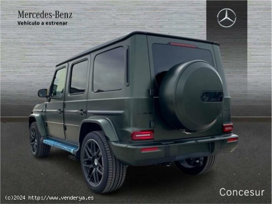 Mercedes Clase G Mercedes-AMG G 63 - Pinto